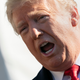 Illustration for article titled Dumb Dullard Donald Trump Is Doing the Damn Most. Again.